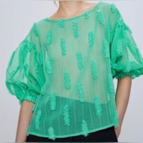 Zara Women’s Sea Foam Green Sheer Blouse / Top, Bishop Sleeves, XS - Picture 4 of 14